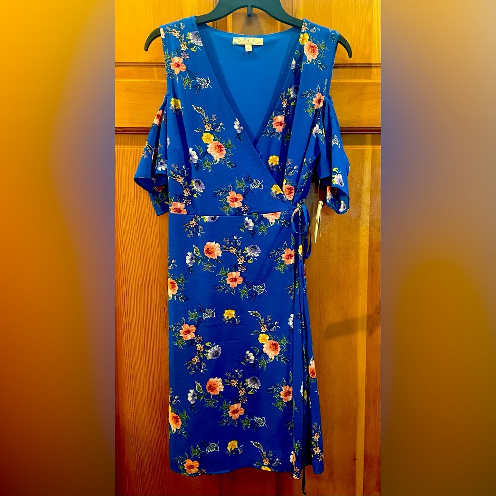 Blue, floral print dress in Large by Cloud & Sky